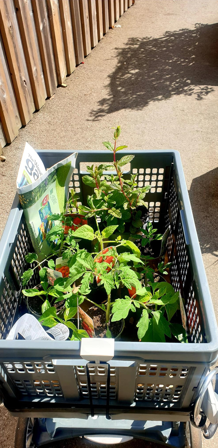 Review by Simon Gesnoin